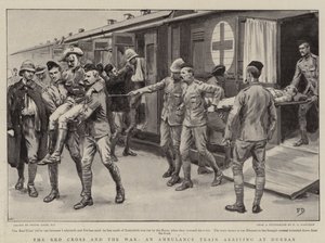 Kızıl Haç ve Savaş, Durban'a Gelen Bir Ambulans Treni